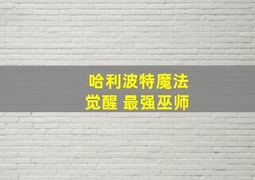 哈利波特魔法觉醒 最强巫师